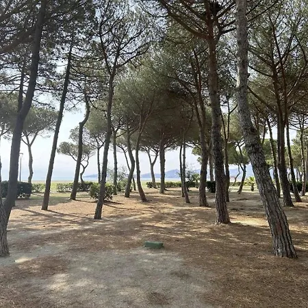 Appartamento Deux Pièces- Sur Ar630-021 Argelès-sur-Mer